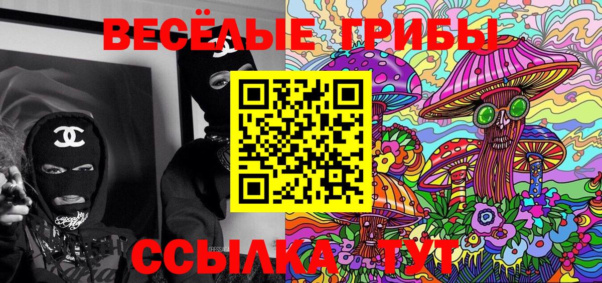 Ялуторовск  Псилоцибиновые грибы Psilocybine cubensis  Вход с VPN 